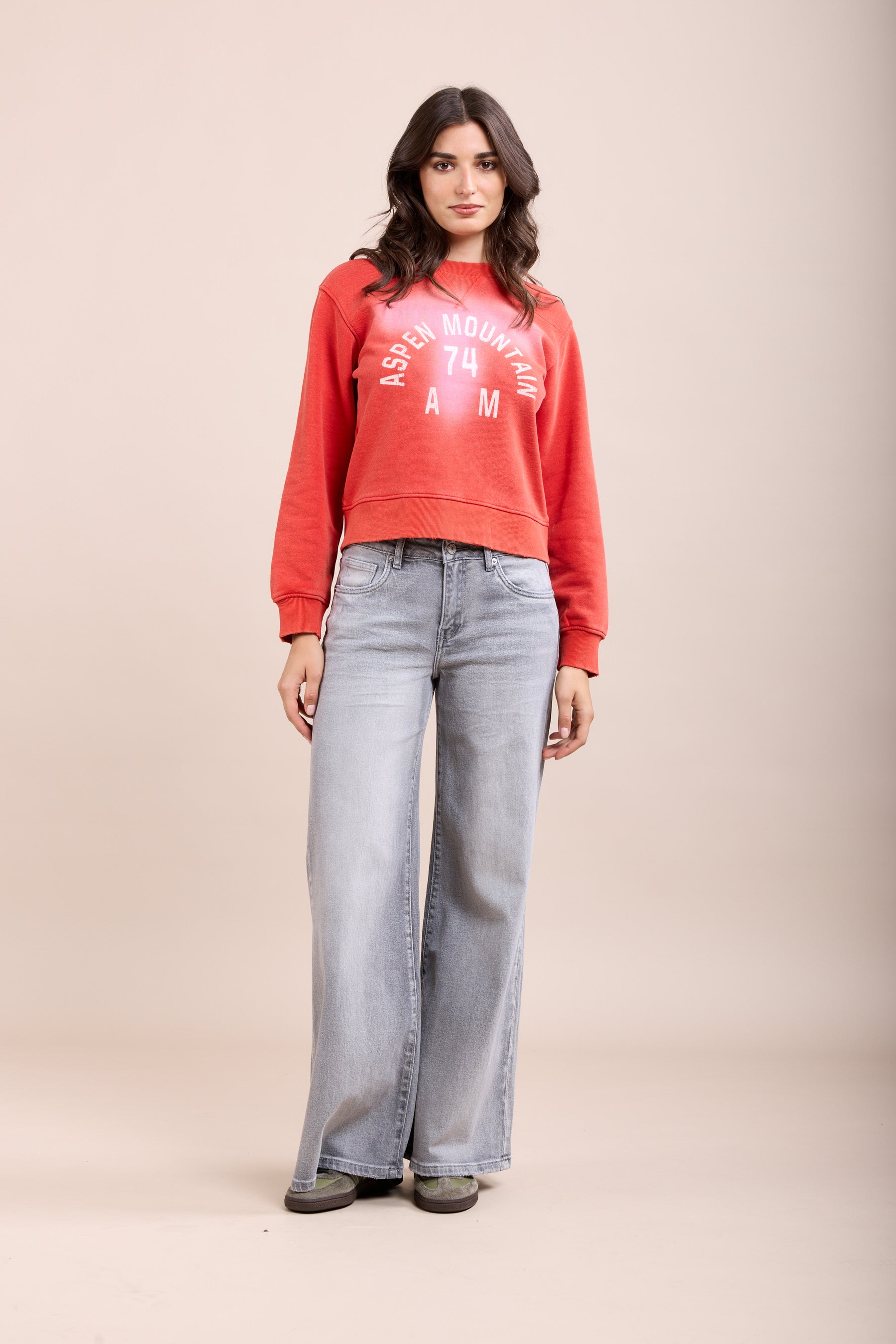 Toxik3 jean wide stretch taille haute gris clair